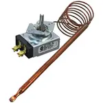 AllPoints 461157 Thermostat