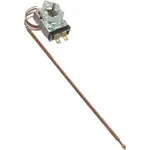 AllPoints 461169 Thermostat