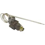 AllPoints 461171 Thermostat