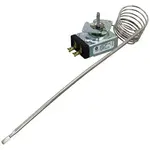 AllPoints 461201 Thermostat