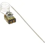AllPoints 461235 Thermostat