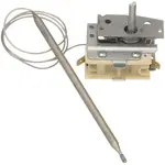 AllPoints 461289 Thermostat