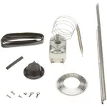 AllPoints 461341 Thermostat Assembly