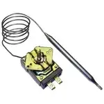 AllPoints 461353 K Thermostat