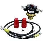 AllPoints 481028 Chromalox® High Limit