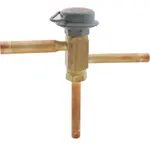 AllPoints 5031021 Valve
