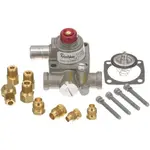 AllPoints 511106 Robertshaw TS Replacement Magnet Head Kit