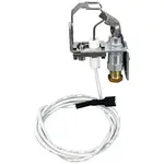 AllPoints 511373 Pilot Assembly