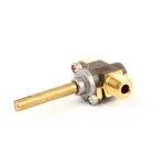 AllPoints 521099 Gas Valve