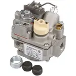 AllPoints 541009 Combo Valve