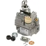 AllPoints 541013 Gas Valve