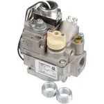 AllPoints 541015 Robertshaw 700 Series Line Voltage Combination