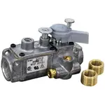 AllPoints 541023 Baso® Safety Valve