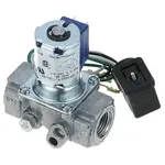 AllPoints Foodservice Parts & Supplies 541024 Johnson Controls Gas Solenoid