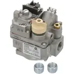 AllPoints 541028 Combo Valve