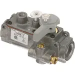 AllPoints 541033 Baso® Safety Valves