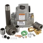 AllPoints 541035 Gas Valve