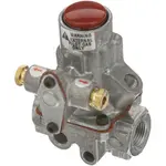 AllPoints 541037 Baso® Safety Valve