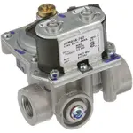 AllPoints 541052 Gas Valve