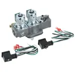 AllPoints Foodservice Parts & Supplies 541065 Baso® Combination Valve