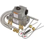 AllPoints 541107 Combination Valve Conversion Kit