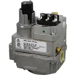 AllPoints 541182 Gas Valve