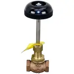 AllPoints Foodservice Parts & Supplies 561101 Globe Steam Valve