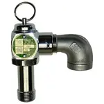AllPoints 561197 Safety Relief Valve
