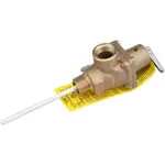 AllPoints 561245 Watts® Temperature & Pressure Relief Valves