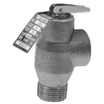 AllPoints 561353 Safety Relief Valve