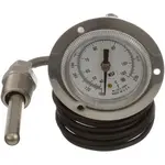 AllPoints 621012 Dishwasher Thermometer