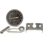 AllPoints 621066 Thermometer