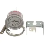 AllPoints 621069 Thermometer