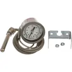 AllPoints 621091 Thermometer