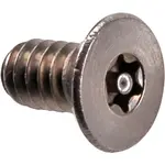 AllPoints 6231015 Tamperproof Screws