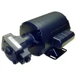 AllPoints 681142 Pump/Motor Assembly
