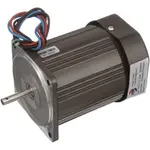 AllPoints Foodservice Parts & Supplies 681300 Motor