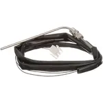 AllPoints 8003172 Temperature Probe