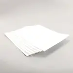 AllPoints 8008790 Filter Paper (pack of 6)