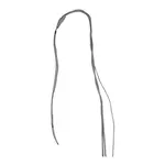 AllPoints 8009824 Coil