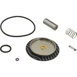 AllPoints 8010238 Rebuilt Kit (1" Valve