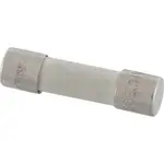 AllPoints Foodservice Parts & Supplies 8014756 Fuse (8 Amp