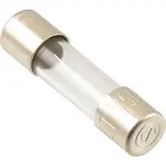 AllPoints Foodservice Parts & Supplies 8014877 Fuse (3.15A)