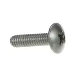 AllPoints 8409170 Screw