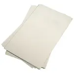 AllPoints 851291 Filter Power Pad