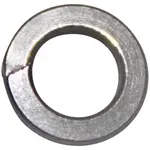 AllPoints Foodservice Parts & Supplies 26-1160 Lock Washer