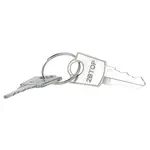 AllPoints Foodservice Parts & Supplies 26-4155 Keys (pair)