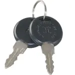 AllPoints Foodservice Parts & Supplies 26-4194 Keys (pair)