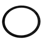 AllPoints Foodservice Parts & Supplies 32-1355 Pump Gasket