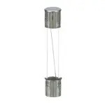 AllPoints Foodservice Parts & Supplies 38-1095 AGC Fuse